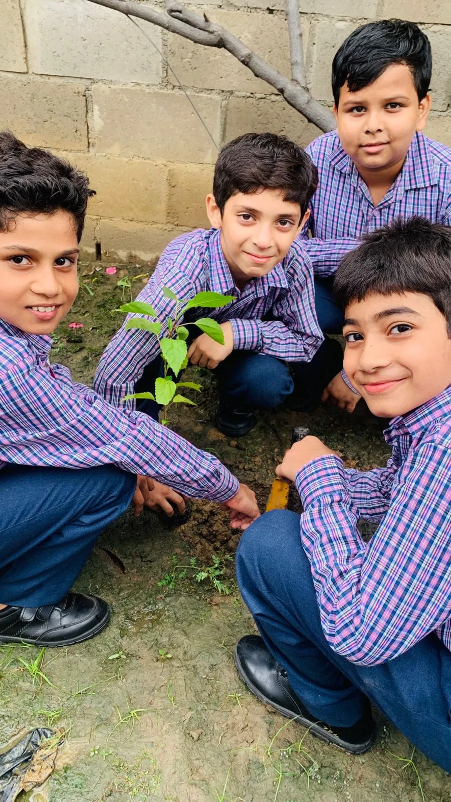 Van Mahotsav Tree Plantation, photo 29